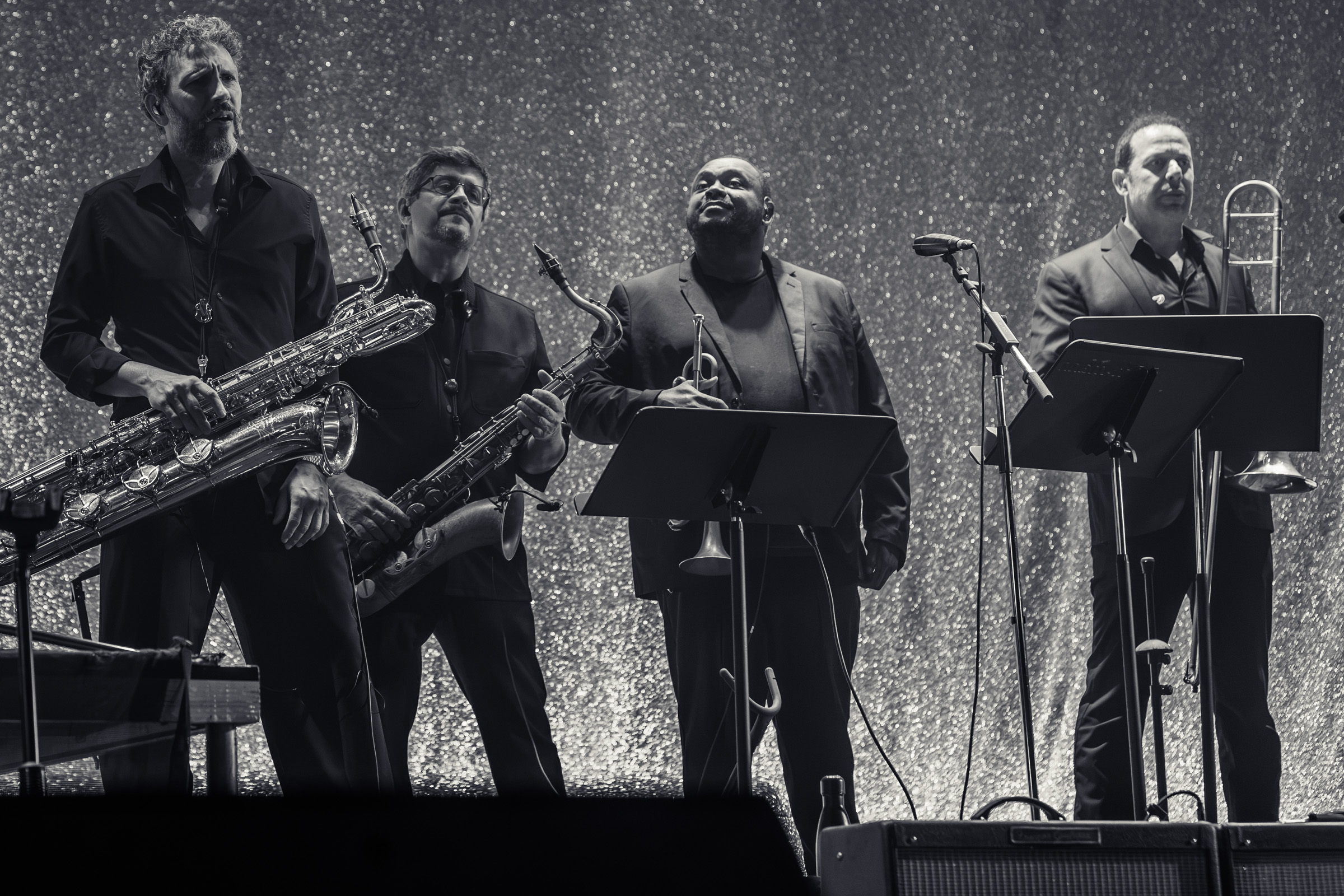 Matmatah à la Poule des Champs — The Fuzzy Brass Four